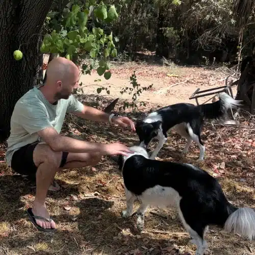 אדם בתזונה קטוגנית עם אנרגיה של בורדר קולי